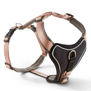 Wolters Professional Comfort Шлейка Пом'Якшена Для Собак Шампань Фото Зоомагазину Dog.Com.Ua