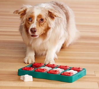 Nina Ottosson Dog Brick Игрушка интерактивная для собак (2-ой уровень сложности)