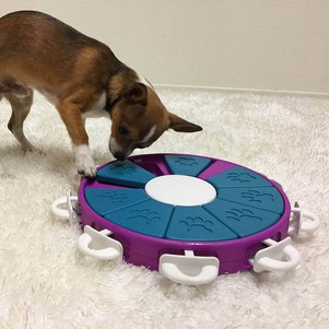 Nina Ottosson Dog Twister Іграшка інтерактивна для собак (третій рівень складності)