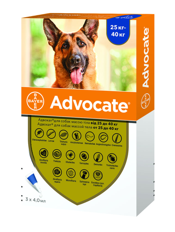 Bayer Advocate (Адвокат) каплі від бліх та кліщів для собак вагою 25-40 кг