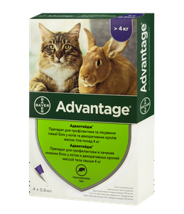 Bayer Advantage 80 для кошек свыше 4 кг