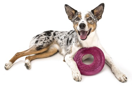 West Paw Dash Dog Frisbee Іграшка-фрісбі для собак