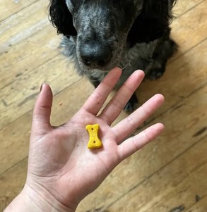 Beco Pets Печиво для собак (арахіс з кокосом і куркумою)