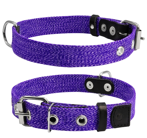 Collar Ошейник Для Собак Брезентовый, Фиолетовый Фото Від Dog.Com.Ua