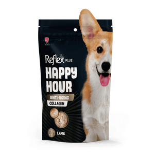 Reflex Plus Happy Hour Anti-Aging Ласощі Для Собак Проти Старіння З Ягням І Колагеном Фото Зоомагазину Dog.Com.Ua