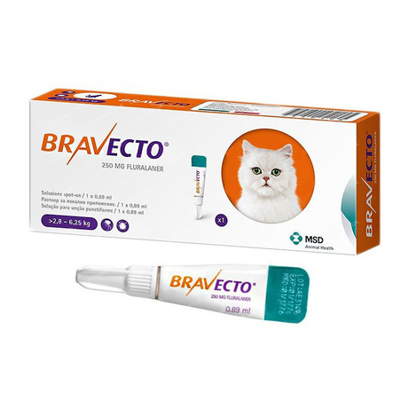 BRAVECTO (Бравекто) SPOT-ON M Краплі від бліх та кліщів для кішок вагою від 2,8 до 6,25 кг (захист на 12 тижнів)