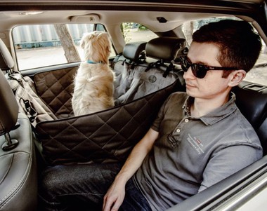 Harley and Cho Saver Автогамак для собак в машину на два сиденья