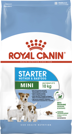 Сухий корм Royal Canin Mini Starter для цуценят малих порід до 2 місяців
