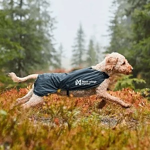 Non-stop dogwear Trail light Куртка для собак сіра