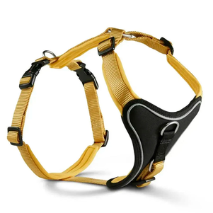 Wolters Professional Comfort Шлейка Пом'Якшена Для Собак Жовта Фото Зоомагазину Dog.Com.Ua