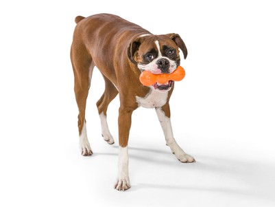 West Paw Rumpus Игрушка для собак, 13 см (сильное грызение)