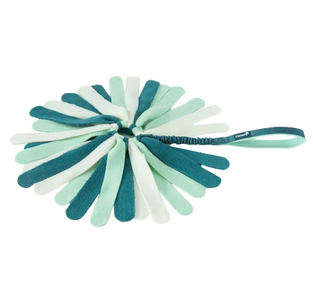 Coachi Tuggi Spider Іграшка Для Перетяжок Для Собак Фото Зоомагазину Dog.Com.Ua