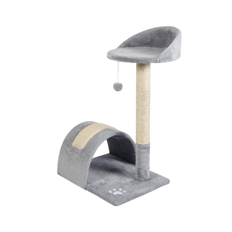 Природа Когеточка З Аркою Фото Від Dog.Com.Ua