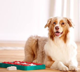 Nina Ottosson Dog Brick Іграшка інтерактивна для собак (2-ий рівень складності)