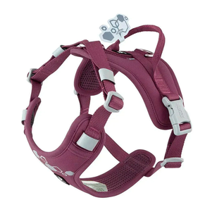 Hurtta Weekend Warrior Harness Ii Eco Шлейка Пом'Якшена Для Собак Фіолетова Фото Зоомагазину Dog.Com.Ua