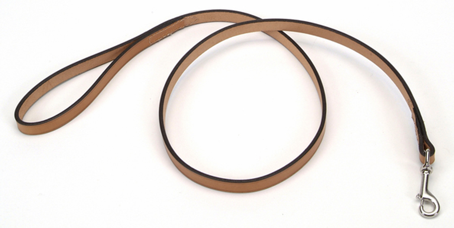 Coastal Circle-T кожаный поводок для собак, 2,5смХ1,2м