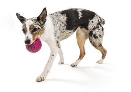 West Paw Boz Large Air Currant Игрушка для собак мяч 10 см большой