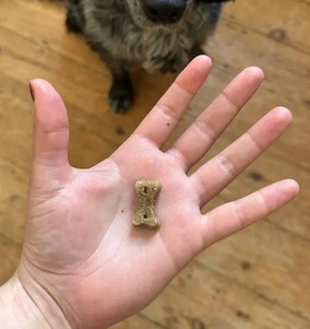 Beco Pets Гіпоалергенне печиво для собак (комаха з яблуком і насінням чіа)
