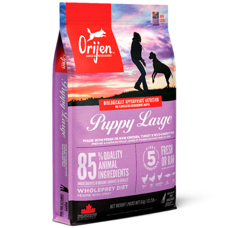 Сухой корм Orijen Puppy Large 38/16 для щенков крупных пород