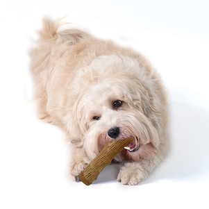 Petstages Dogwood Stick Игрушка для собак Прочная ветвь (сильное грызение)