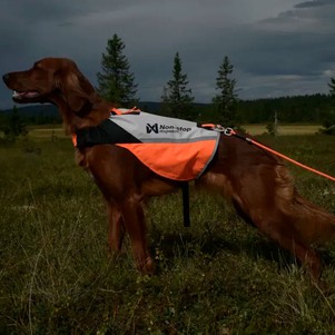 Non-stop dogwear Protector cover 2.0 Жилет для собак білий з чорним та помаранчевим