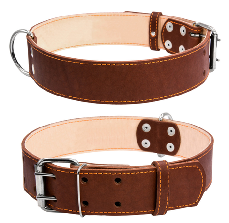 Collar Нашийник Для Собак Шкіряний Подвійний Коричневий Фото Від Dog.Com.Ua