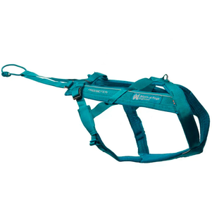 Non-Stop Dogwear Freemotion Harness 5.0 Шлейка Для Собак Бирюзовая Фото Зоомагазина Dog.Com.Ua