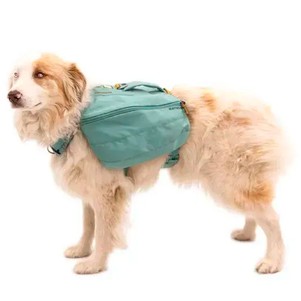 Ruffwear Front Range™ Шлейка-рюкзак для собак зелений