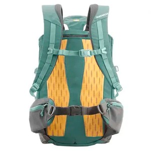 Ruffwear Hitch Hiker™ Рюкзак для переноски собак зелений