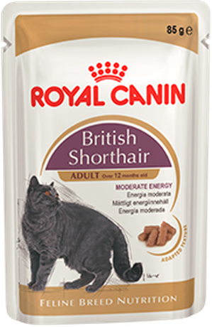 Royal Canin British Shorthair (шматочки в соусі) Консервований корм для дорослих котів