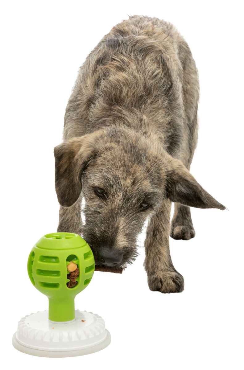 Які іграшки заспокоюють собак?