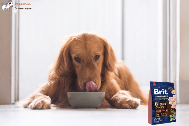 brit premium сухий корм для собак