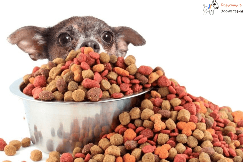 сухой корм для собак: как правильно хранить
