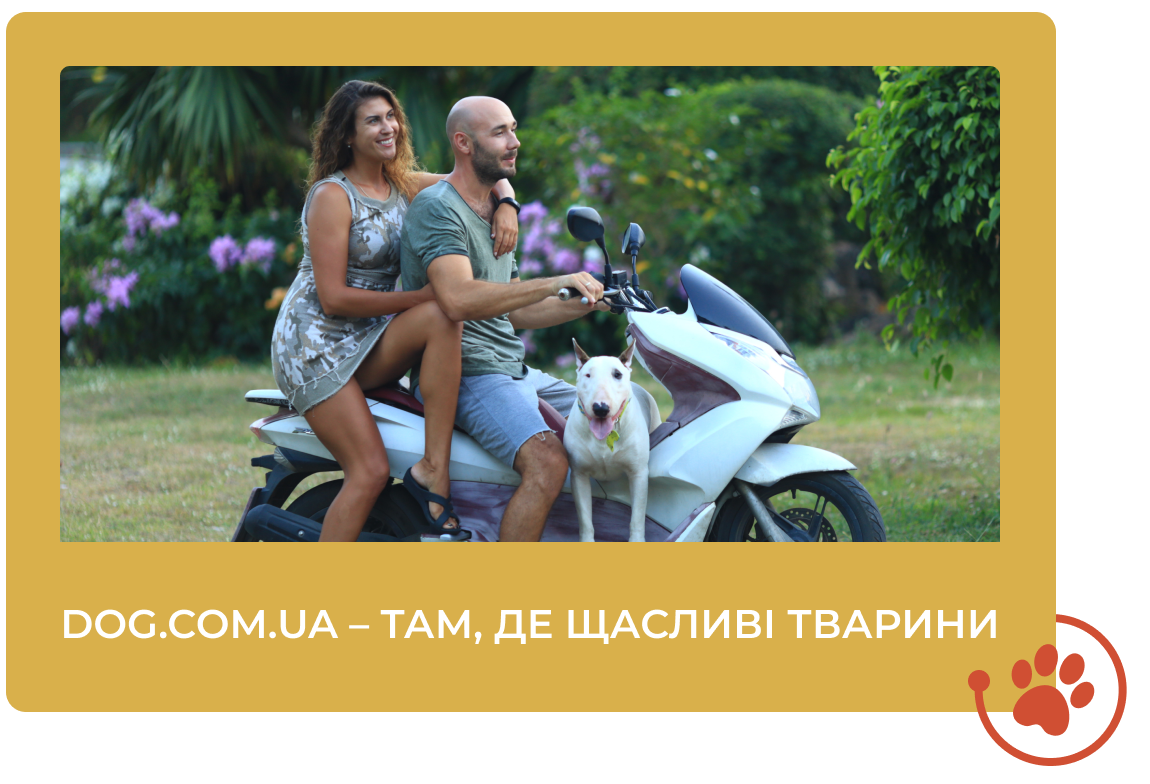Dog магазин для собак Київ
