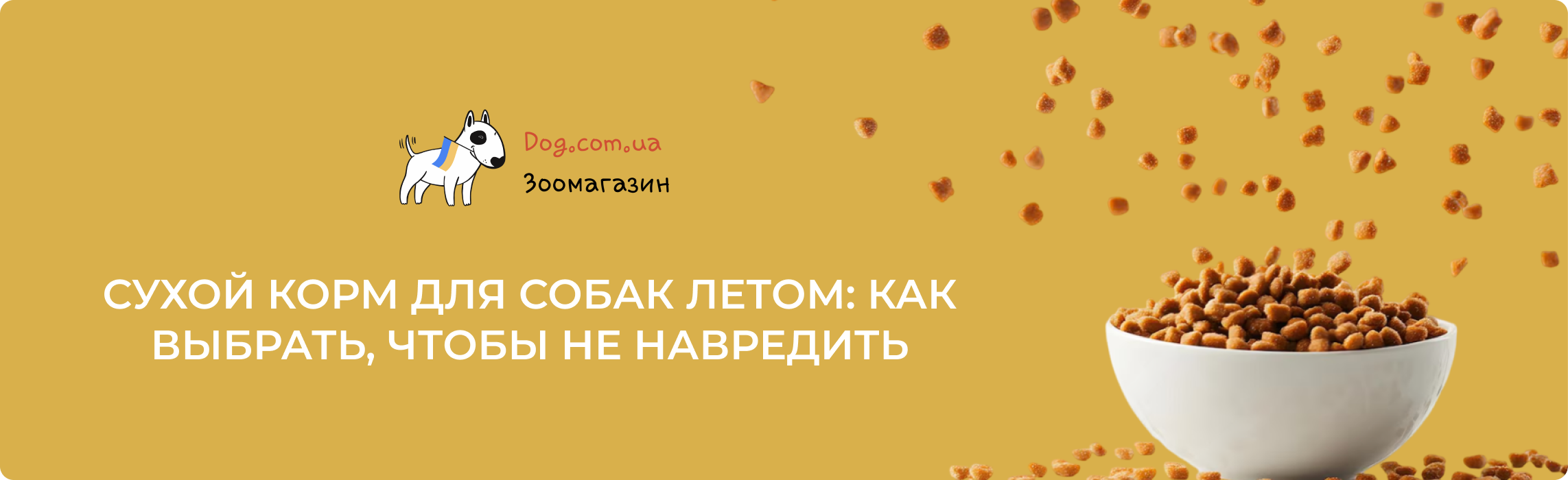 как выбрать корм на лето