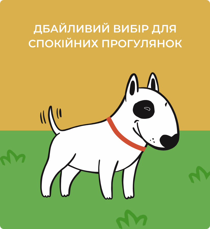 дієвий засіб від бліх для собак