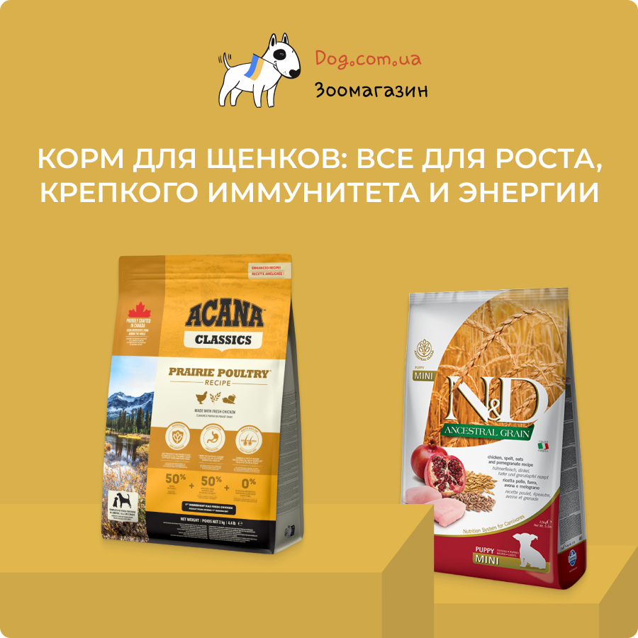 сухой корм для щенков