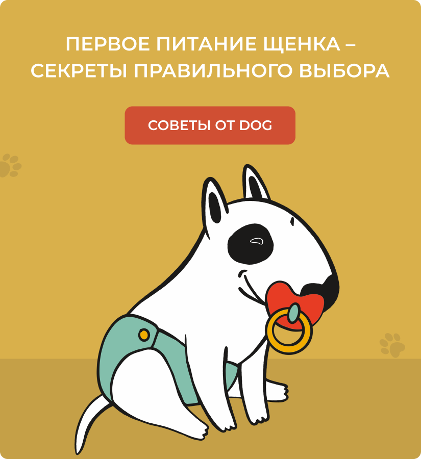 чем кормить 2 лунного щенка