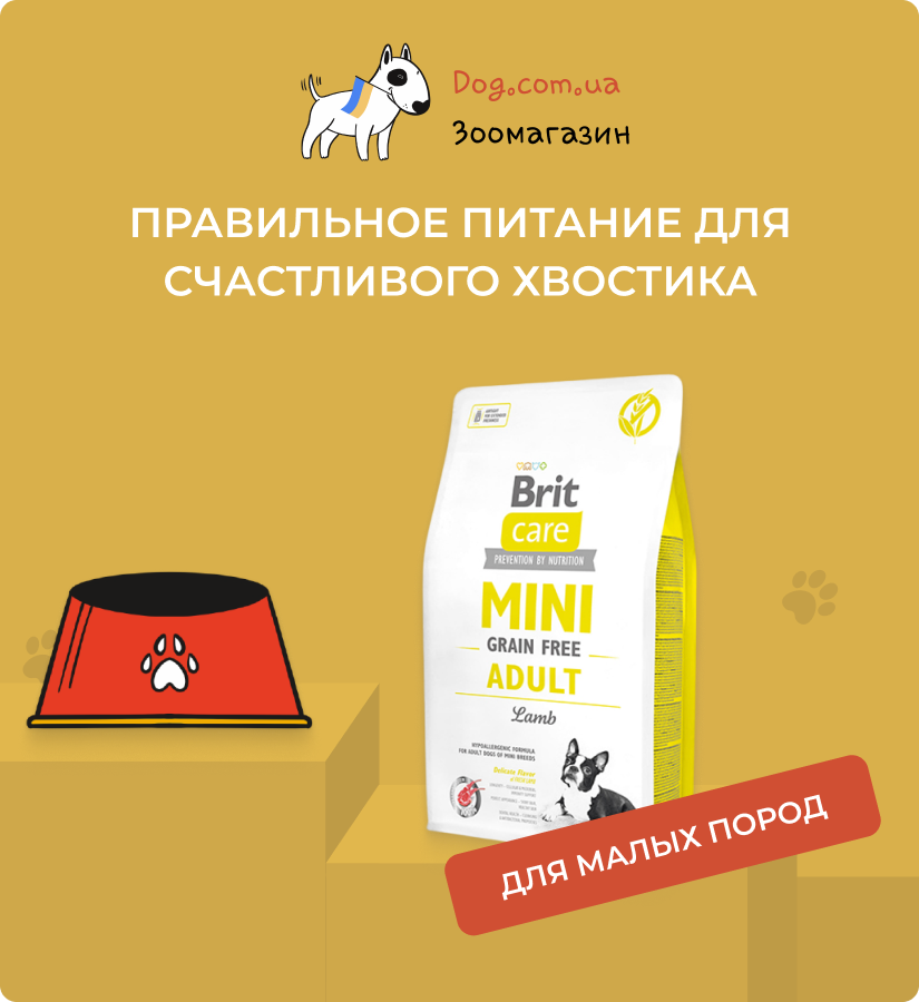 сухой корм для собак малых пород
